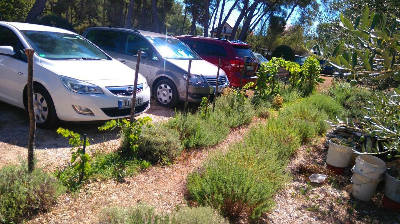 Apartmani Nimcevic Biograd Na Moru Dış mekan fotoğraf